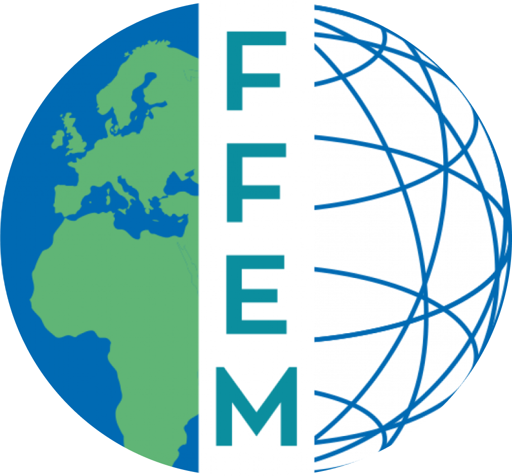 Logo FFEM