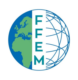 Logo FFEM